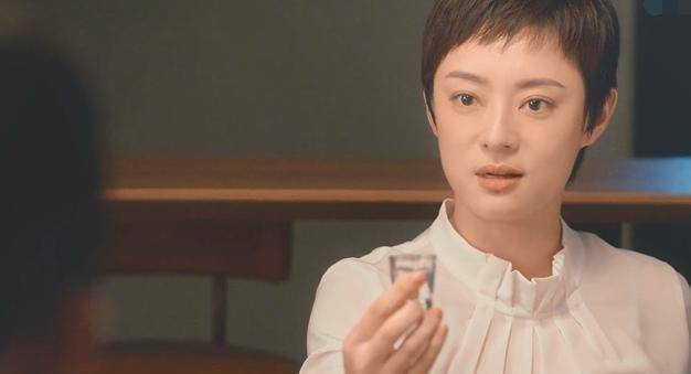 《安家》房似锦成长经历太惨了,心疼房似锦,孙俪演技戳心了_房四井