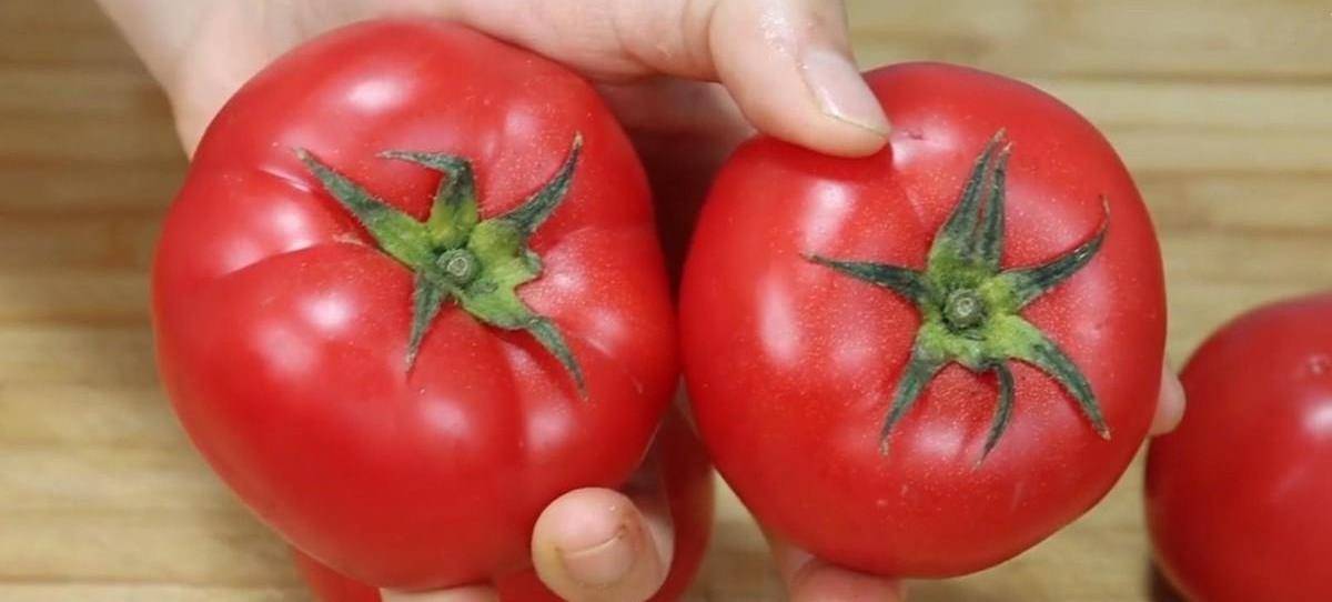 西红柿有没有打激素?