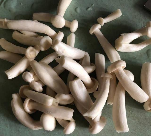 菌菇烧排骨,滋味鲜美而浓郁_辣椒_大蒜_荆条