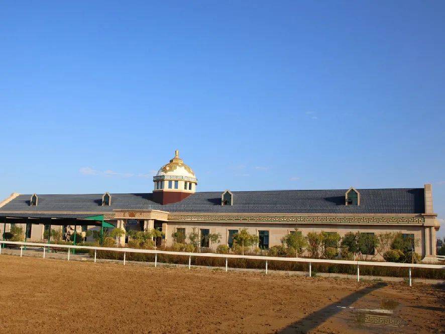 内蒙古马场图片