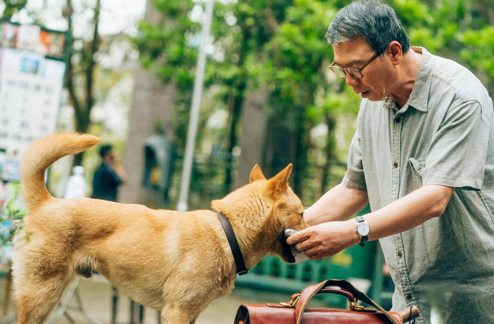 《忠犬八公》豆瓣7.7分,开启高分烂片时代!_陈教授_儿子_评分