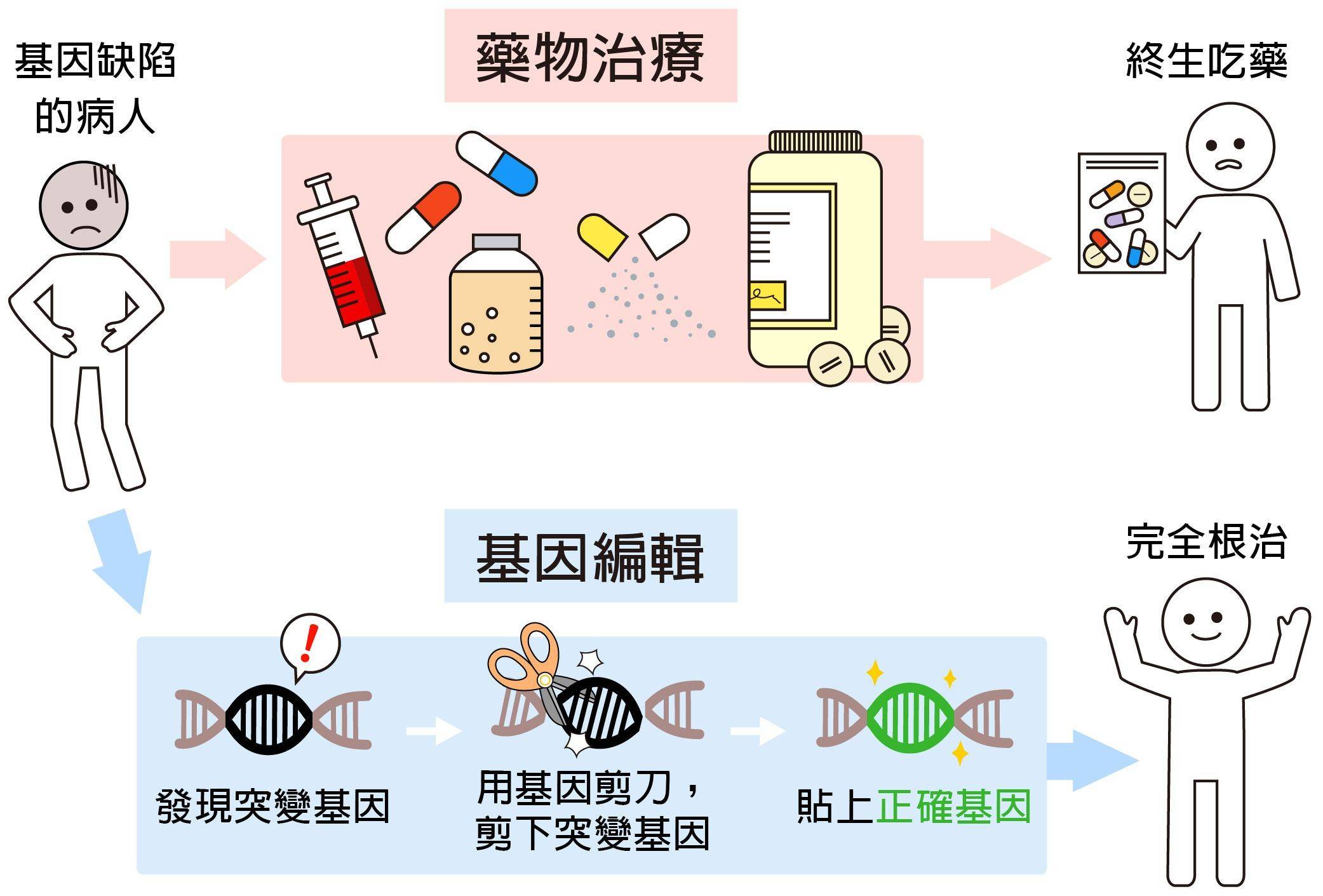 为何说打开了潘多拉魔盒?_染色体_研究_信息