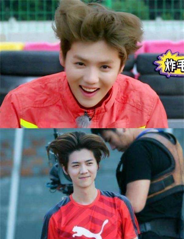 爱豆的头发炸毛后,王俊凯李易峰还好,看到鹿晗:不愧是发量王者_感觉