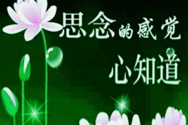 路口,人生的路好难走,游弋在爱的长河里痴情的真爱着,却不知心归何处