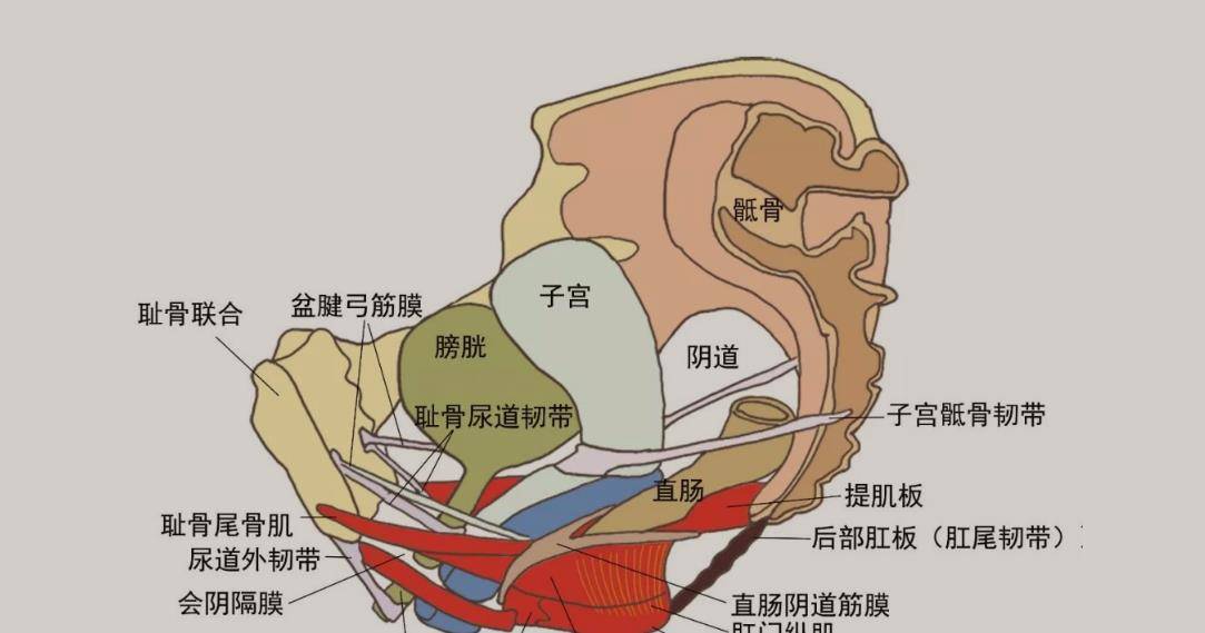 看完涨知识了_晓晓_身体_分泌物