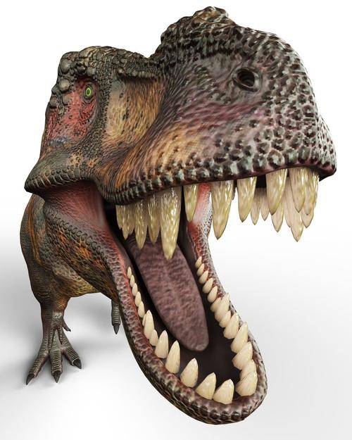 来算霸王龙曾经存在过的总数(n)和保存率(p),即已知化石最小数量除以n