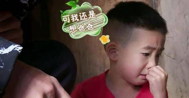 但作为观众还是非常期待能和jasper和lucky见面的,这两个小可爱真的