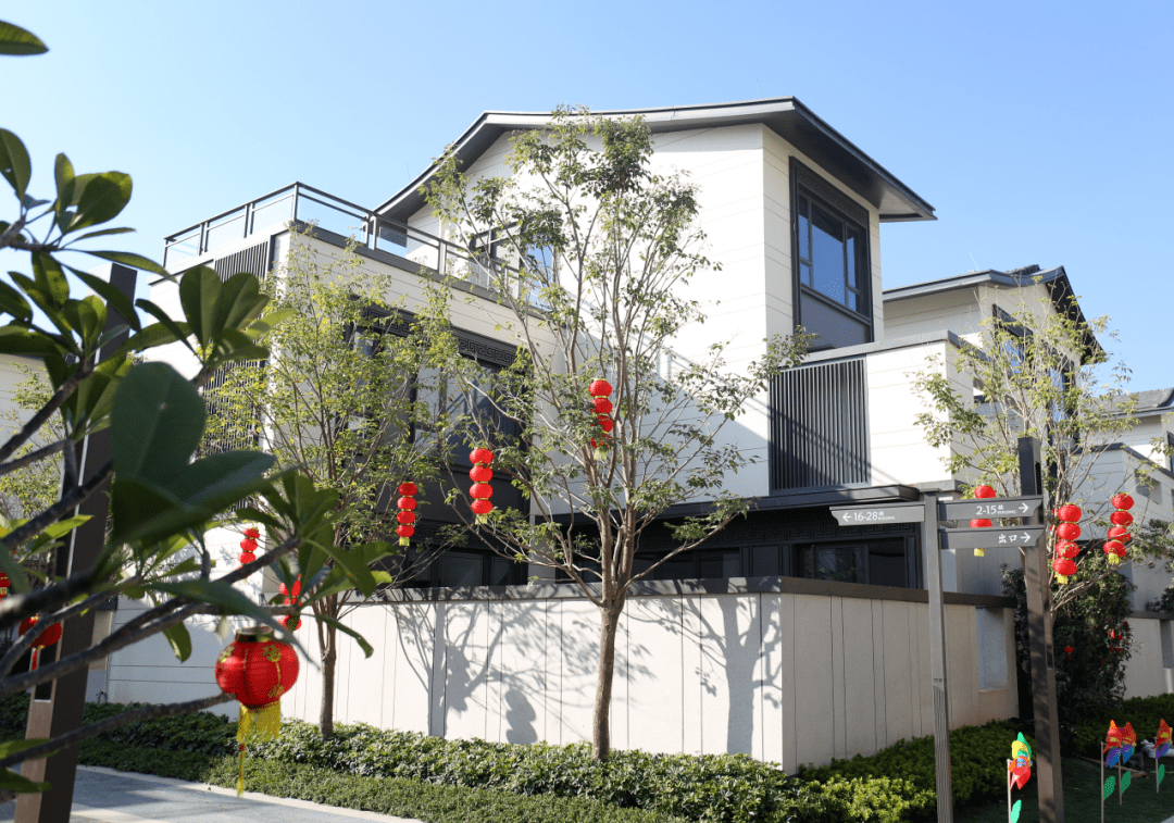 惠州【罗浮山十里方圆】到底值不值得入手?