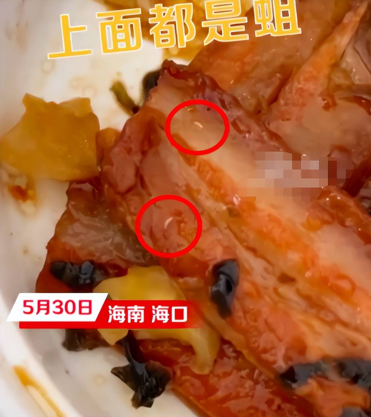 男子吃梅菜扣肉爬满蛆虫向店家索赔1000店家这就是意外太多