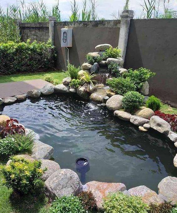 庭院鱼池形状与风水图片