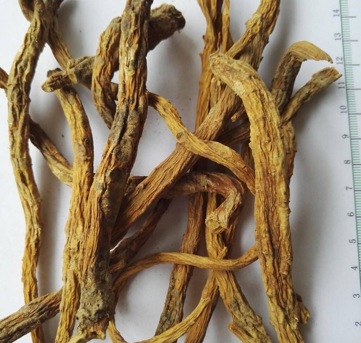 神农本草经-秦艽(秦瓜)_阳明_风湿_寒热