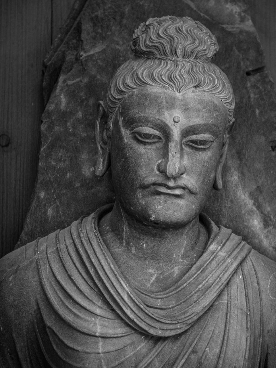 佛教三法印:正法与邪说的判定依据_辞典_诸法_上座部