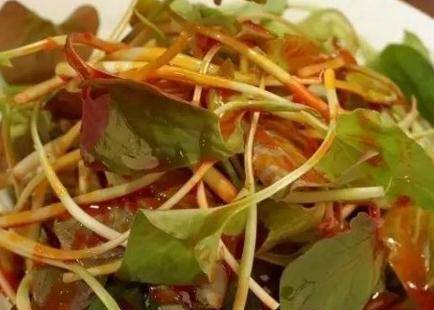 因为鱼腥草中有多种易过敏成分,他们使用以后容易引发多种过敏症状