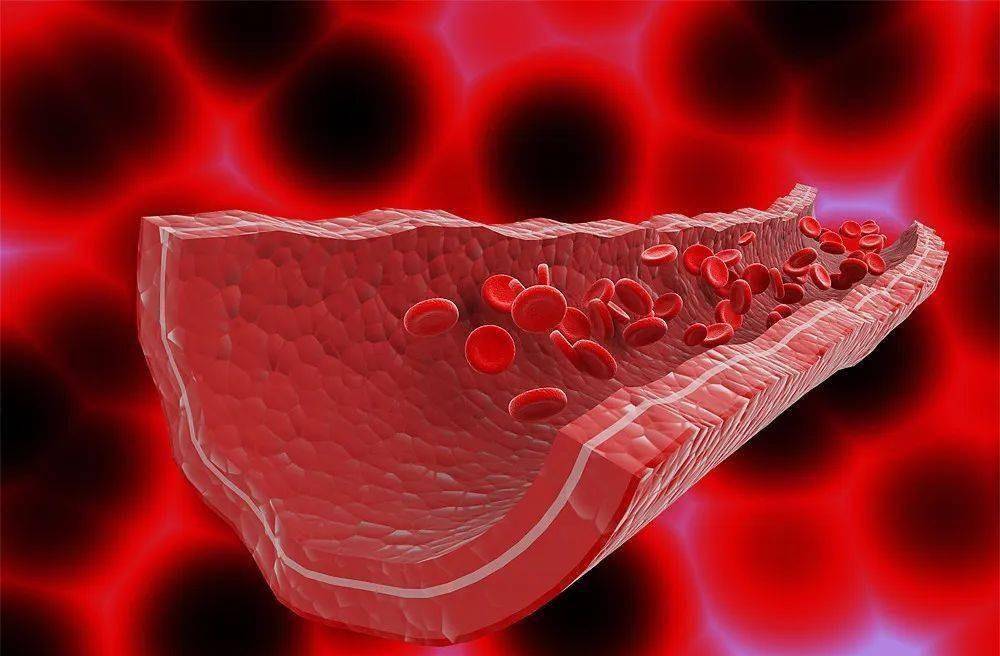 瘀血越少,寿命越长,送你5个厉害的活血化瘀中成药,建议收藏_参考_气血