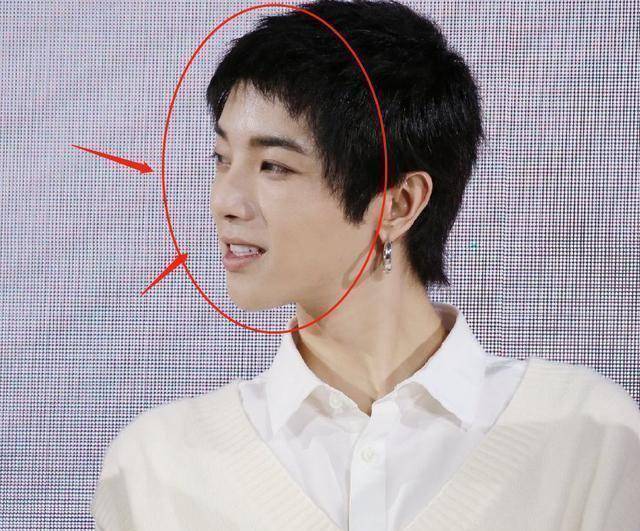 这个角度的华晨宇看起来十分温柔,鼻梁也十分高挺,跟嘴唇,下巴连成