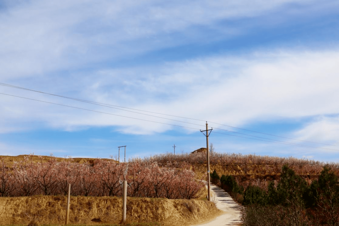 山西省偏关县新关镇杨家岭村典型材料_乡村_活动室_村民