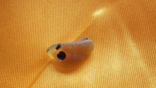 鸠摩罗什的舌头是真的吗他的舌舍利是怎么回事?_龟兹_经文_妹妹