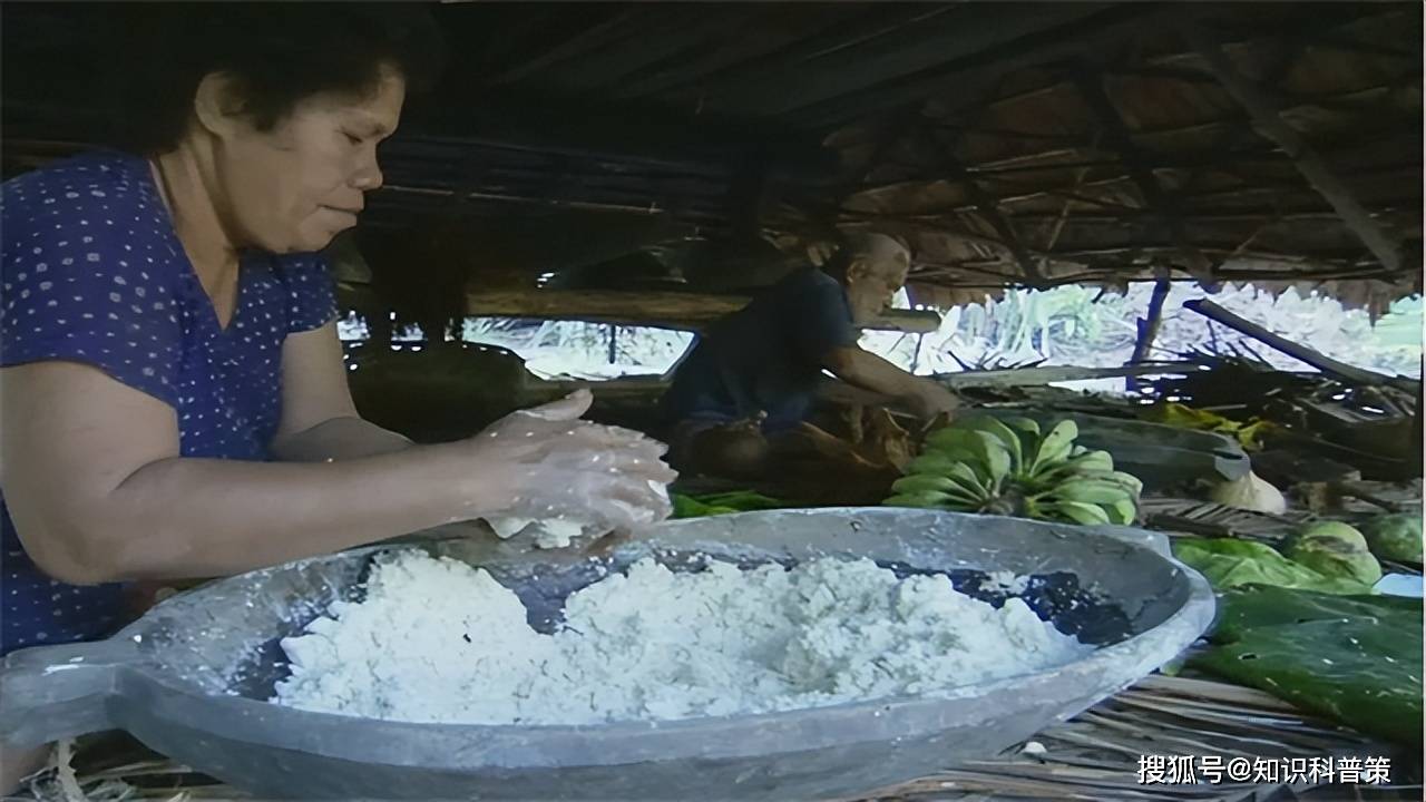 阿努塔岛是太平洋上面积最小的岛屿之一,原住民是如何获得食物?