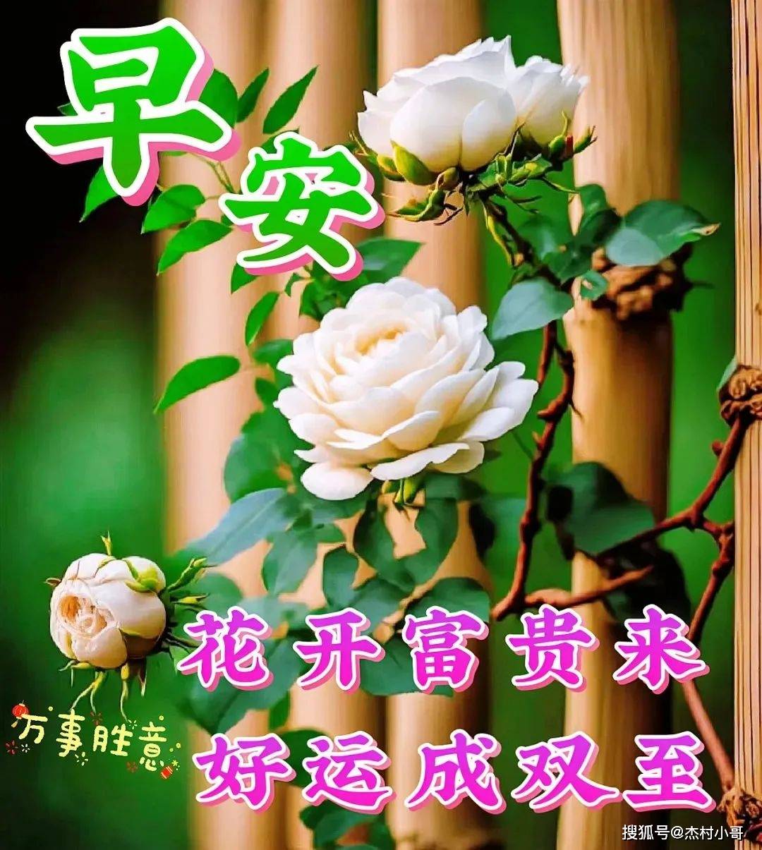 6月7日星期三早安祝福暖心圖片帶字帶早上好語錄,祝朋友們幸福吉祥!