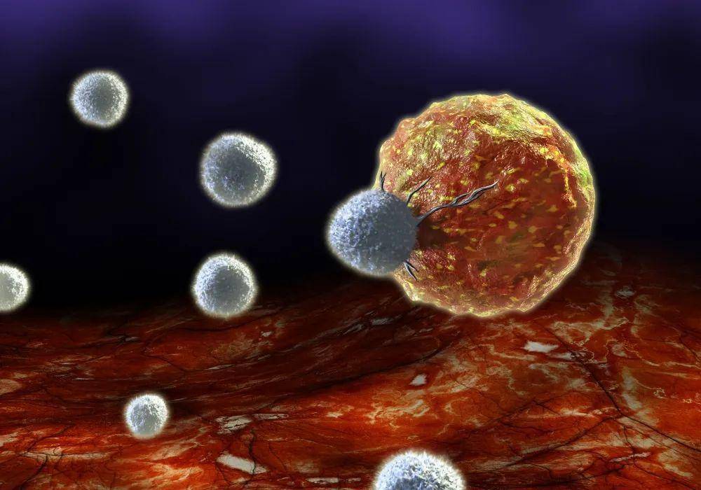 吉卡科普-组织驻留记忆t细胞调控卵巢癌症免疫反应_研究人员_患者