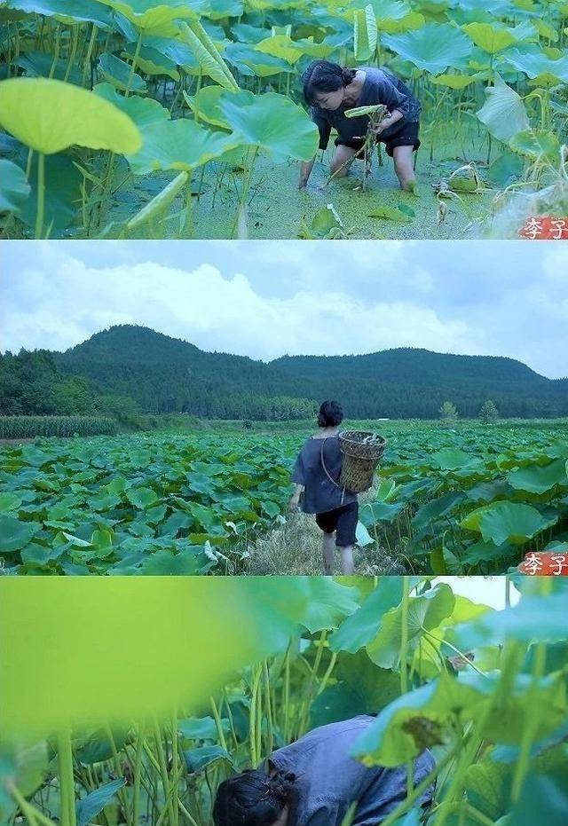李子柒的生活真的有那么"诗情画意"吗?