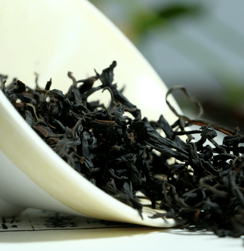 云南野生古树红茶,300年树龄,一口"凤庆甜香",还原经典滇红味_茶树