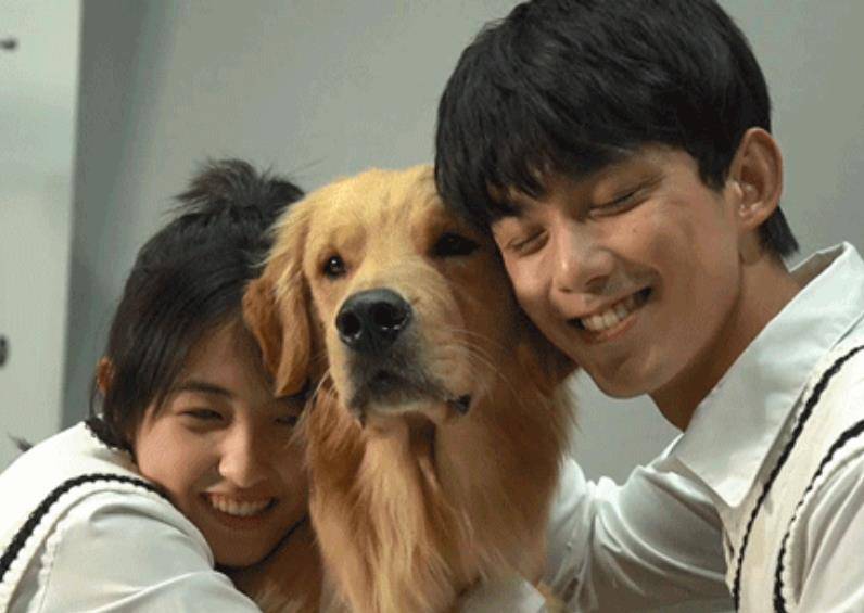 张子枫笑吴磊的梗老套,吴磊下意识撒娇举动太甜!