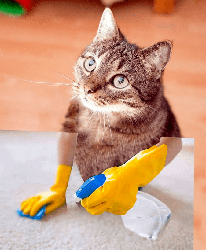 表情_心情_心事