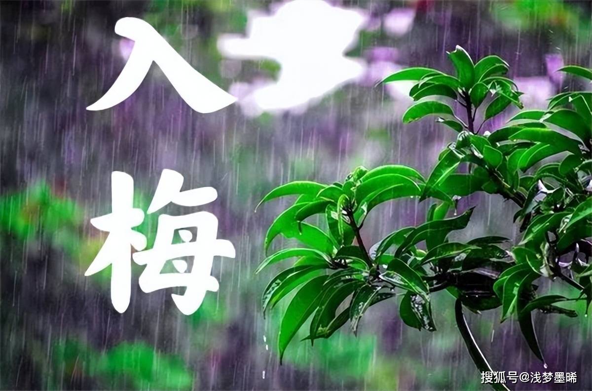 今年6月7号入梅，入梅是晴天好还是下雨好？看看老祖宗的智慧_手机搜狐网