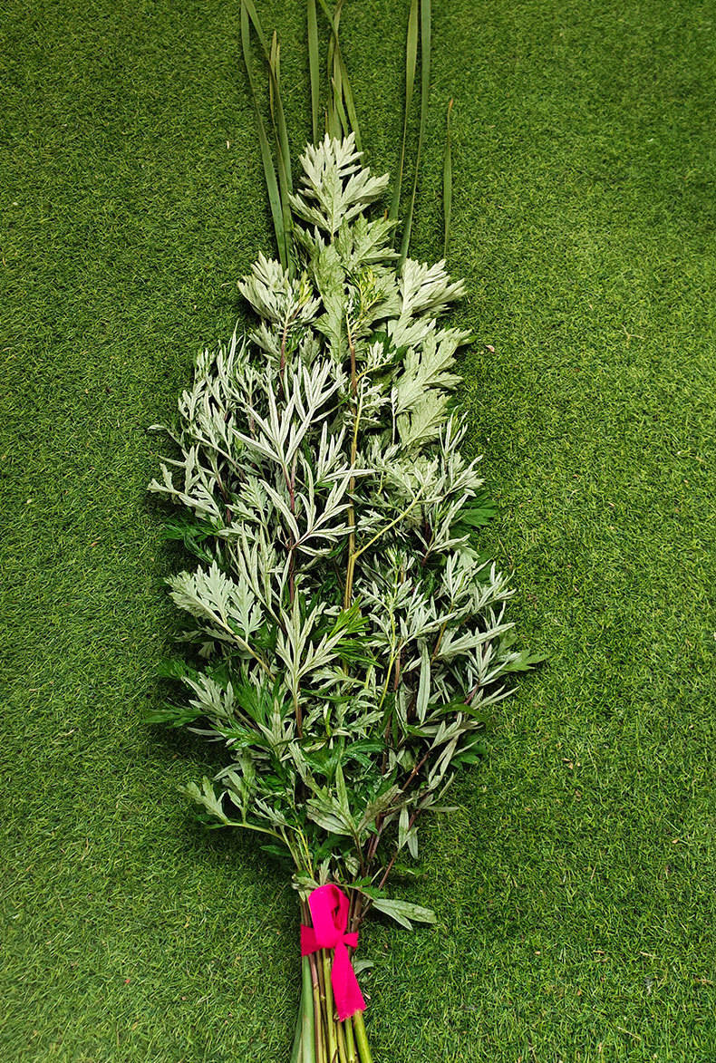 "端午挂艾草,兔年无烦恼"?挂了几千年,驱邪镇宅宝!