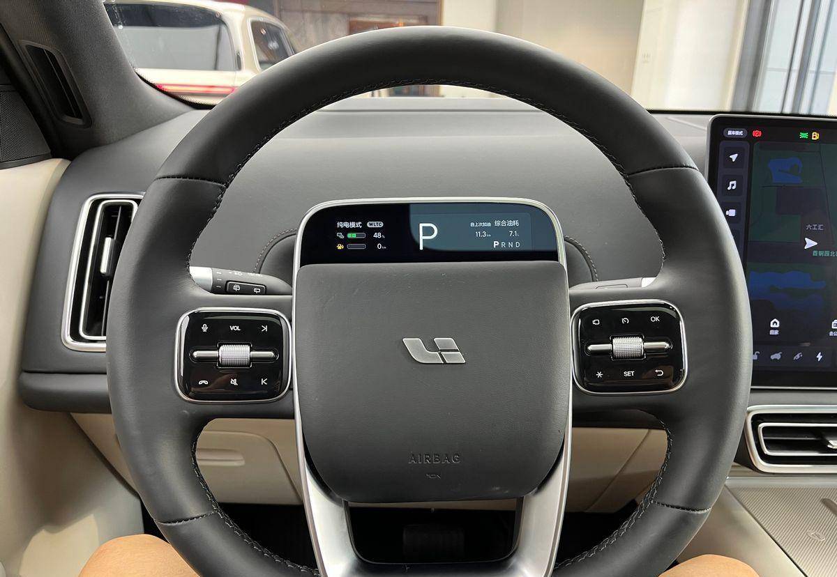5月榜 谁让你出乎意料 蔚小理大众？_搜狐汽车_搜狐网