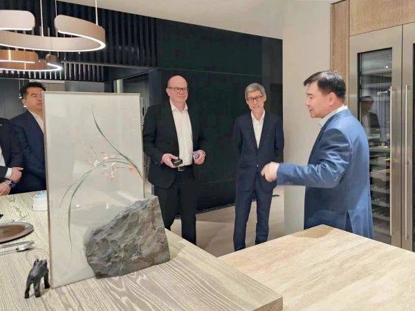 张近东今年二季度突然动作频频,要带领苏宁易购走出泥潭？-家电圈官网