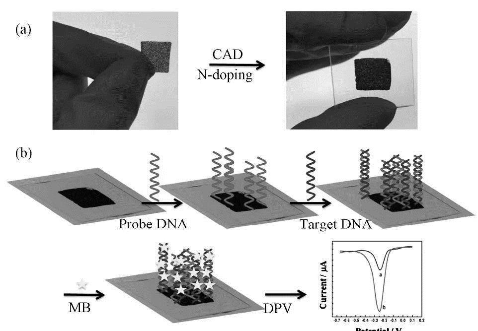 纳米光化学dna生物传感器,在生物医学中,怎样检测肿瘤标志物_探针_的