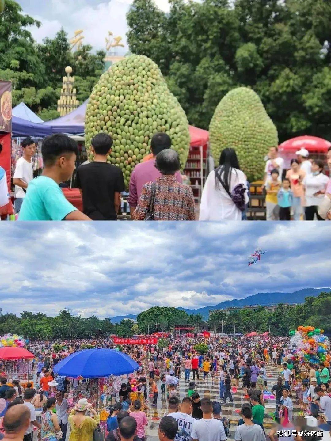 今年元江芒果节你来了吗?吃芒果观万亩芦荟