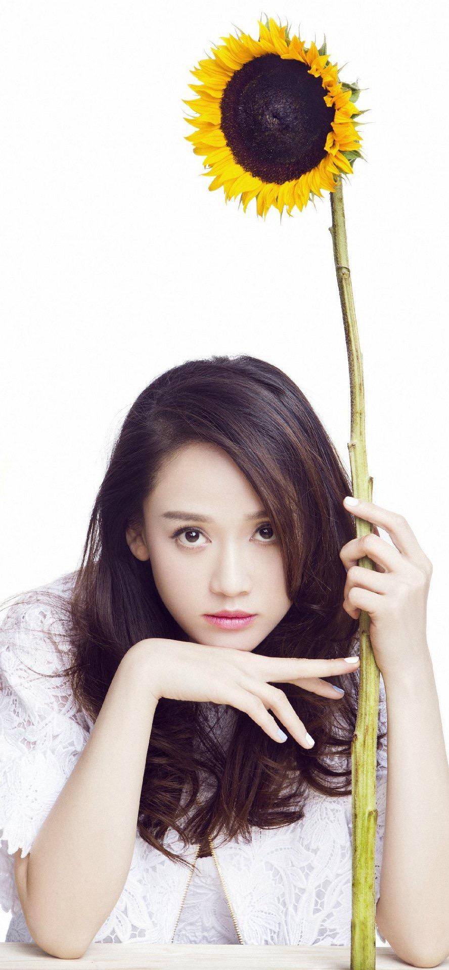 陈乔恩 (joe chen) 