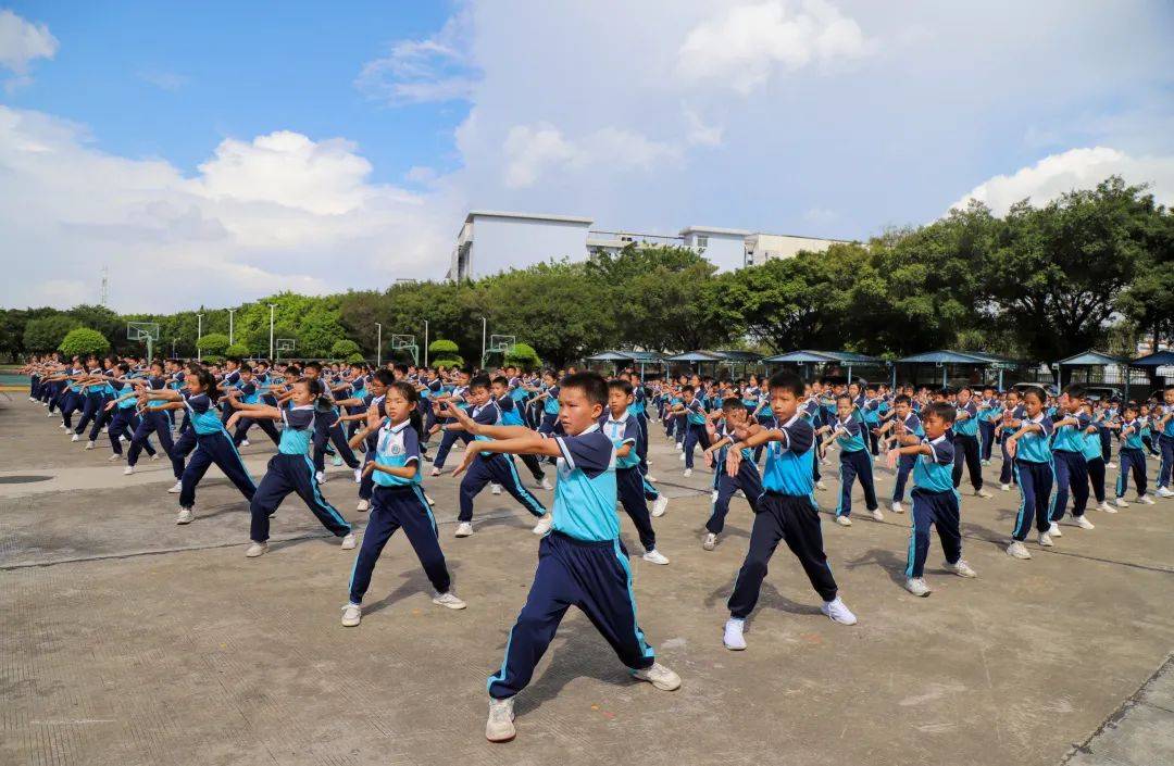 桥头镇12所小学开展大课间体育活动评比 莫家拳操成亮点_全镇_内容