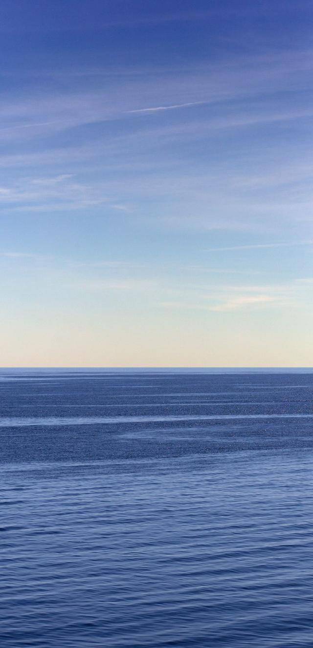 所以很多的时候,都是在技能上自我提升,以及自我约束,金牛座对自己的