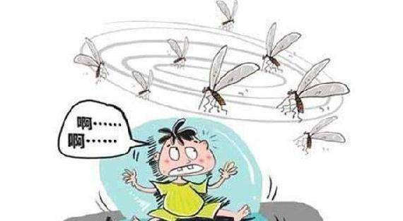 原创
蚊子多，有什么好的方法驱蚊了？