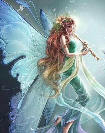 十二星座专属守护精灵,巨蟹座懵懵懂懂,摩羯座的好漂亮!
