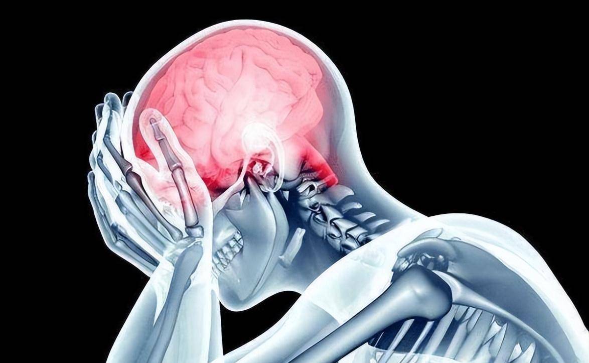 基于六经脑髓一体论,探讨慢性脑损伤的主要病症_脏腑_气血_活动