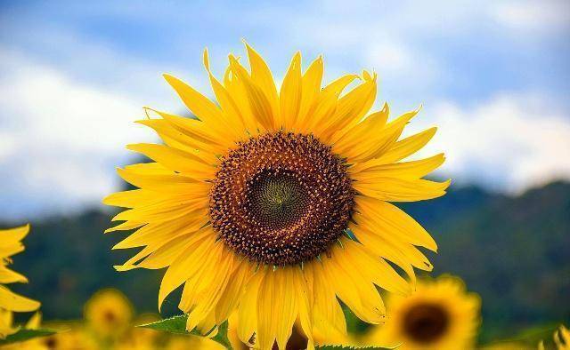 阳光心态,快乐人生!_事情_是一种_过错