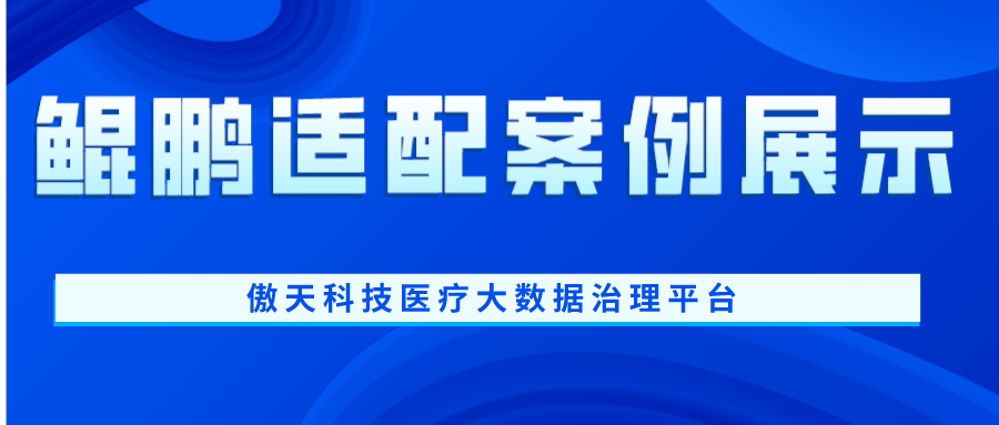 鲲鹏适配案例展示|傲天科技医疗大数据治理平台