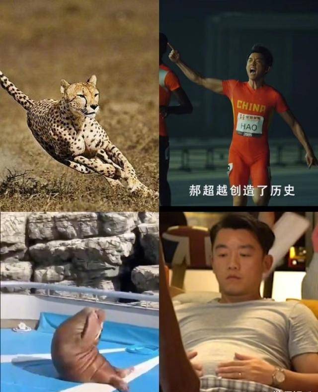 郑恺2个月胖40斤,双层肚腩太辣眼,"小猎豹"变成了"大海豹"_身体_电影