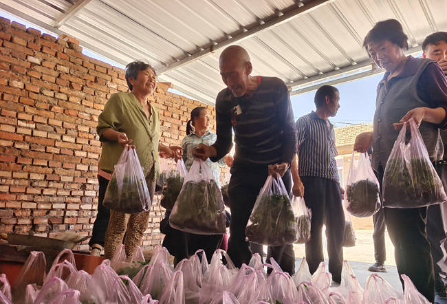 盂县西烟镇:发放暖心菜苗 助力庭院经济_村民_西红柿_上文