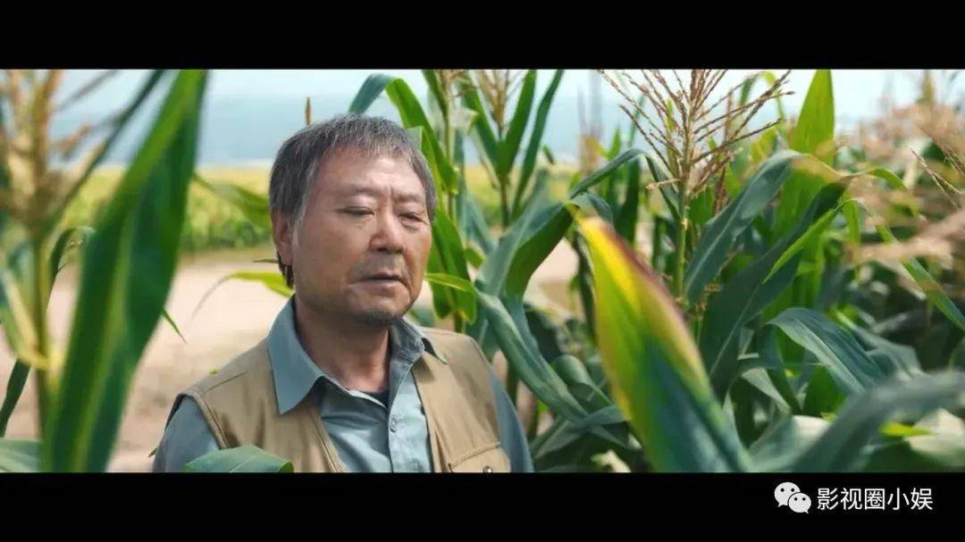 电影网站建设方案_电影网站建设的意义_哪些电影网站怎么建设的