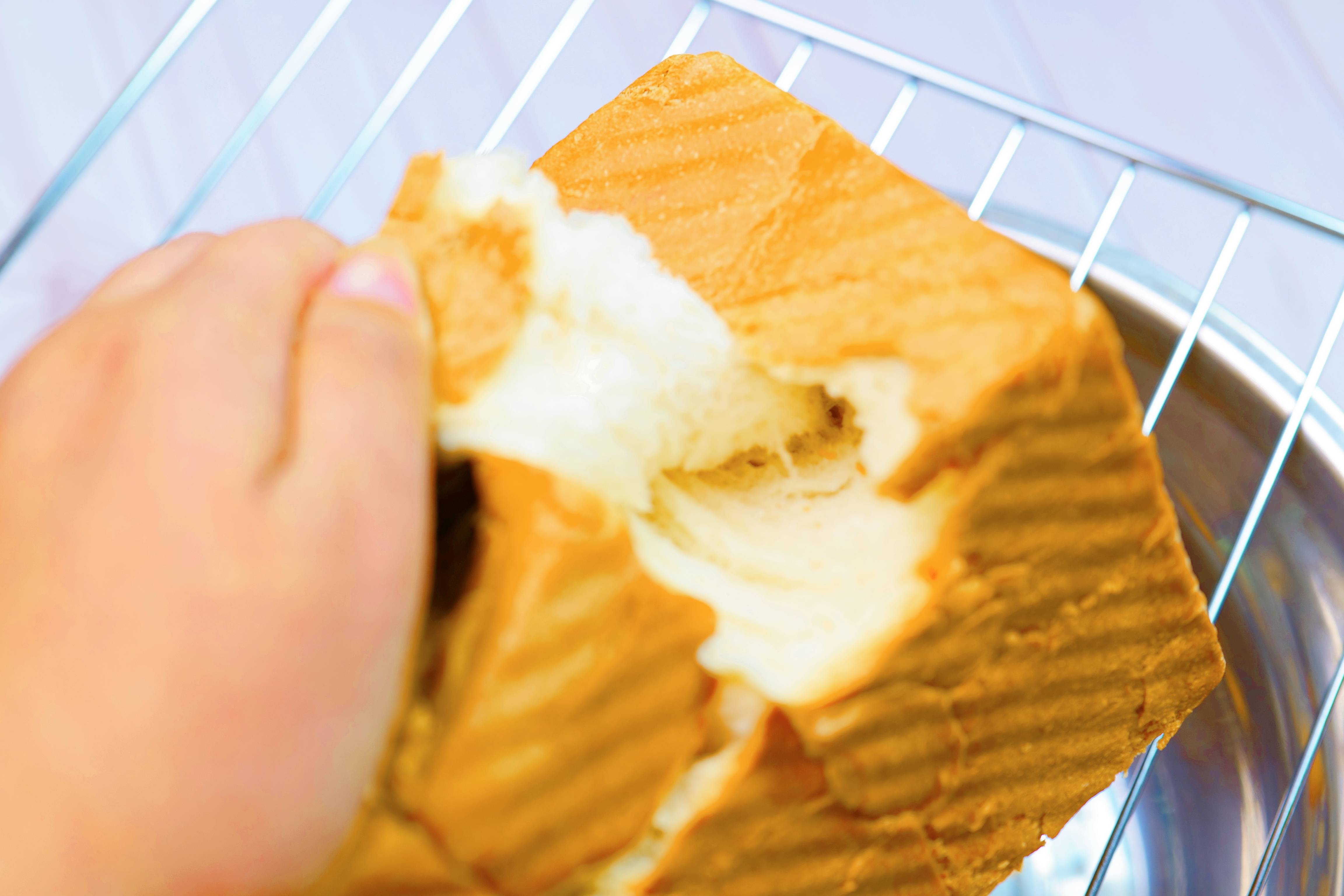 卷王｜入门烤箱也可以Pro，长帝猫小易Pro了解一下！