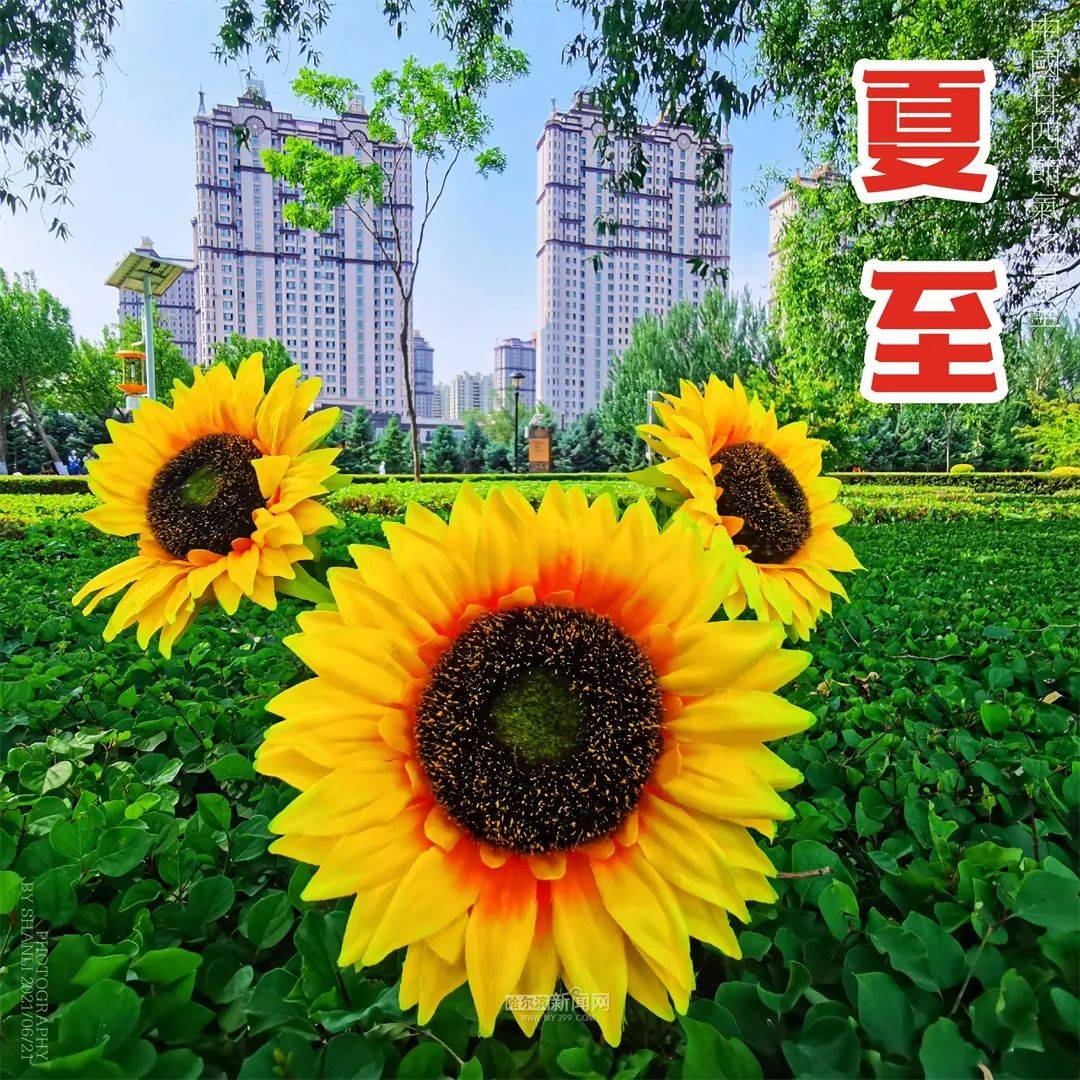 夏至已至 万物向阳丨清凉天气倒计时,22日气温再次强势回升_白天_多云