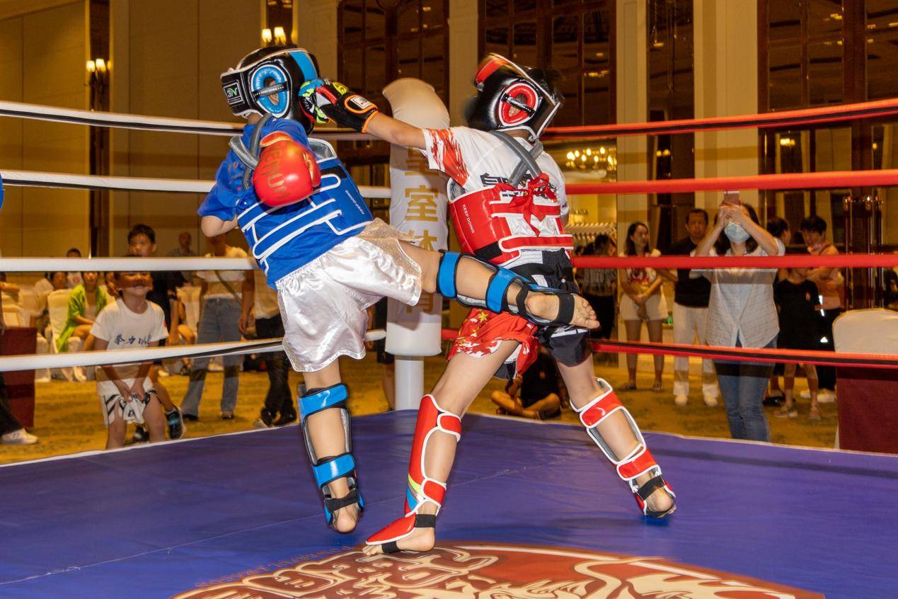 格斗比赛进行中格斗比赛进行中裁判宣布获胜者裁判宣布获胜者比赛结束