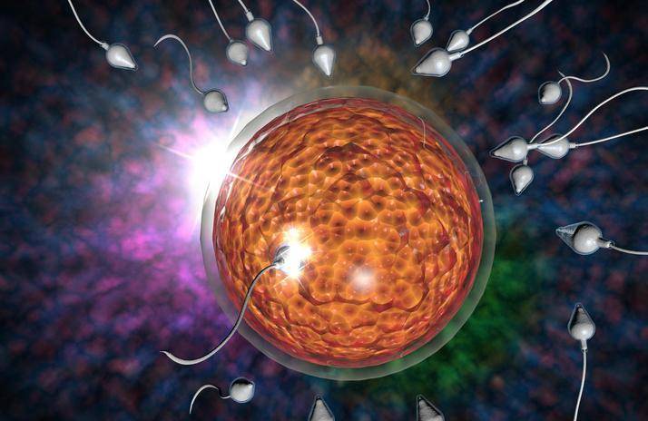 大龄剩女相亲屡次被拒,"巨阴症"真的无法生育吗?