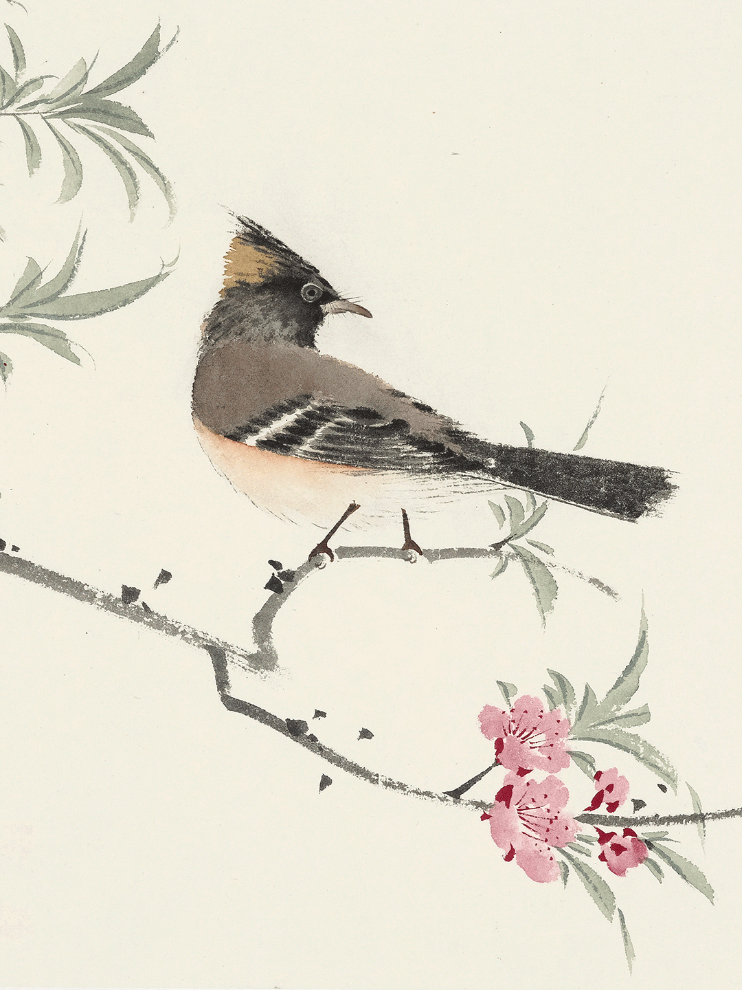 传统派丨王克 · 清新淡雅 简健婀娜_墨林_齐白石_作品